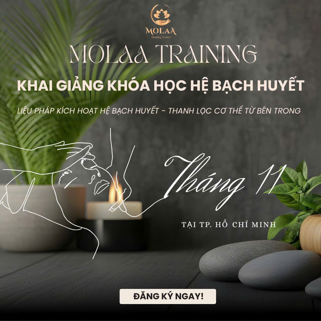 Đào tạo 15