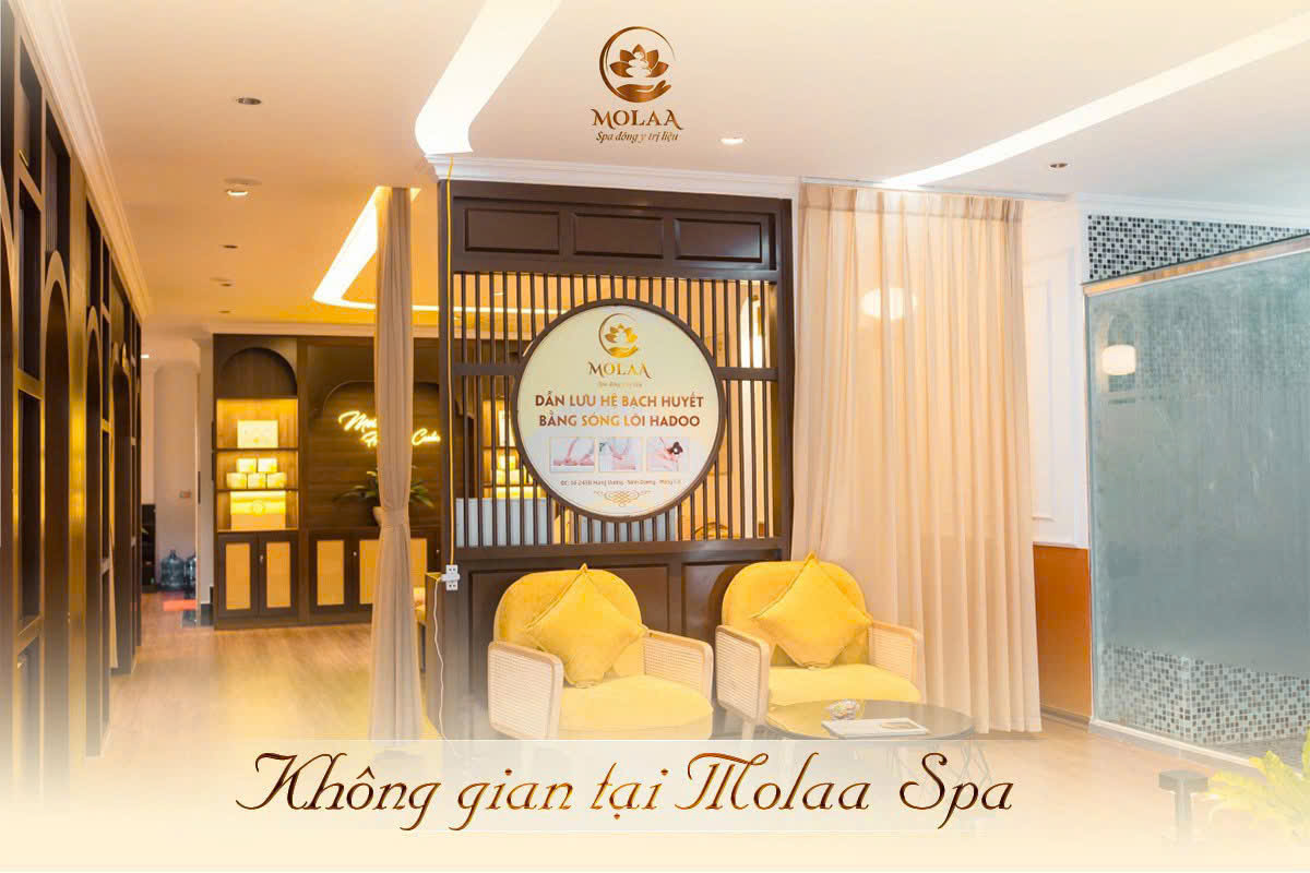 MOLAA Healing Center Móng Cái - Hình 1